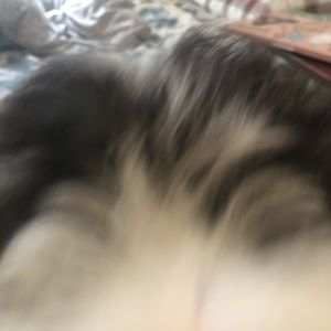 Meet your Posher, Jenny